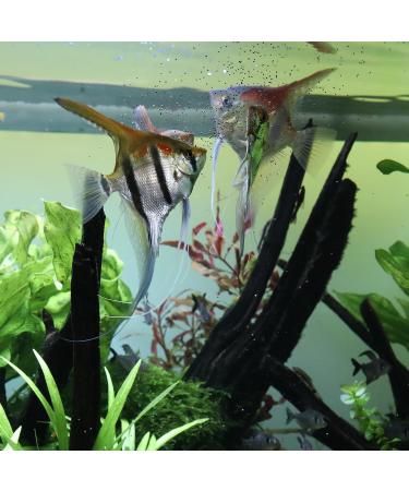 Buy JBL PRONOVO Bel Grano 1000ml & 190g - Ideal Food for 3-10 cm Fish | International Shipping - Buy Online on GoSupps.com