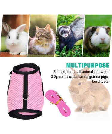 Buy Tibapla Adjustable Rabbit Dishes with Elastic Leash - Perfect Kitty & Small Animal Bowl - Pink (M) - Buy Online on GoSupps.com