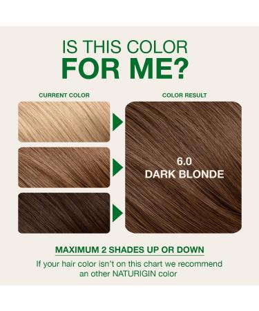 Coloration Femme Permanente Naturigin chatain clair 6.0 sans ammoniaque et sans parab nes couvre jusqu 100% des cheveux gris Longue Tenue Vegan Cruelty Free - Buy Online on GoSupps.com