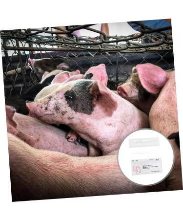 FRCOLOR 6 Pcs Pregnant Tester Pig Pregnancy Test Strips Livestock Testing Paper Animal Pregnancy Test Tools Sow Pregnancy Test Strips Farm Testing Tool White Plastic Accessories Whitex3pcs 1 count (Pack of 1) - Buy Online on GoSupps.com