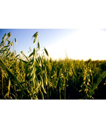 Flocons d'avoine bio fins - Buy Online on GoSupps.com