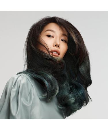 Goldwell Dualsenses Just Smooth Taming Anti-Frizz Conditioner 10.14 Fl Oz - Humidity Control, Pack of 1 - Buy Online on GoSupps.com