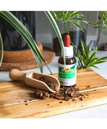 ImkerPur Organic propolis drops 25 high dose tincture directly from the beekeeper organic quality without additives - Buy Online on GoSupps.com
