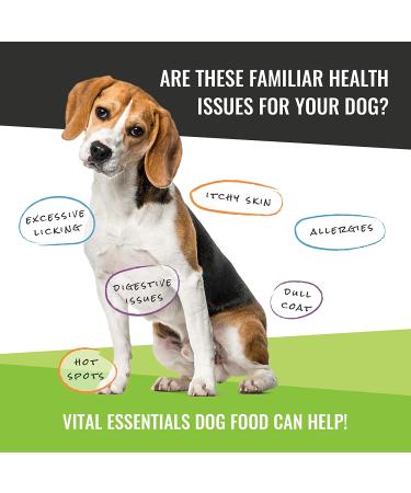 Vital Essentials Freeze Dried Dog Food Mini Nibs Beef - High-Quality Nutrition for Your Pet - Buy Online on GoSupps.com