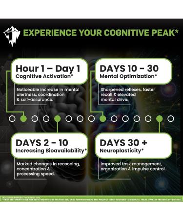 Off Meta Nootropics The Gigachad Stack Foundational Nootropic for Focus Memory & Motivation | for Gamers Students & Professionals | Alpha GPC Uridine Bacopa | Made in USA | 120 Capsules - Buy Online on GoSupps.com