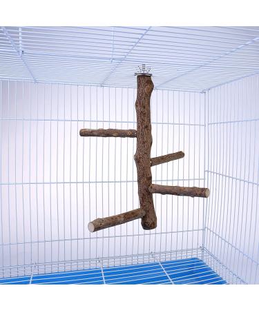 Filhome Bird Perch Stand Toy | Natural Wood Parrot Cage Branch | For Parakeets, Cockatiels, Conures, Macaws | 10 Length - Buy Online on GoSupps.com