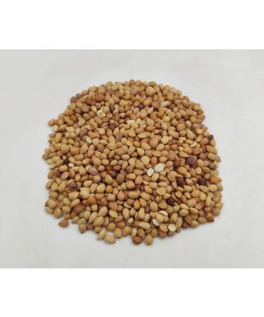 AgoraMarket Dried Mahleb Cherry Seeds Mahlepi 40g 195Kg Prunus Mahaleb 1950 grams