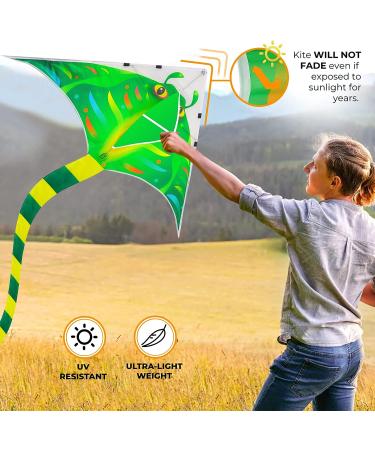 4 Pack Large Fire Dragon, Green Snake, Devil Fish, Red Mollusc Octopus Kites for Outdoor Fun - Perfect for Kids and Adults - Buy Online on GoSupps.com