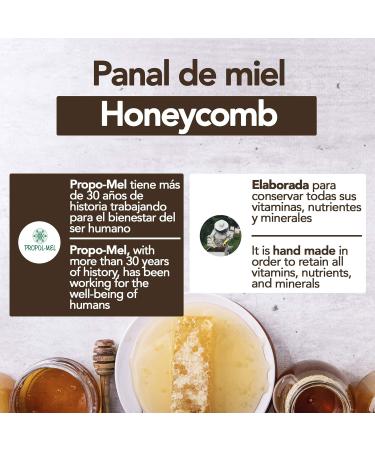 Honeycomb of EU origin -350 g - Flower honey in comb with floral aroma. Bee honey strengthens the defenses has - Buy Online on GoSupps.com