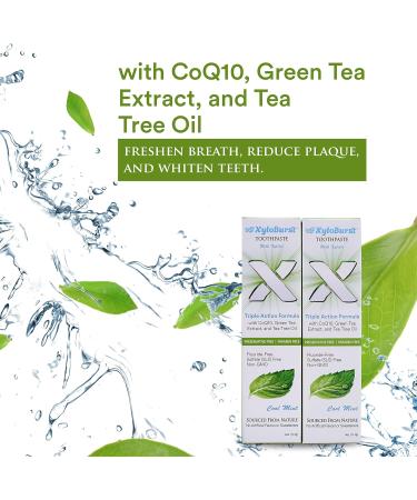 Buy Xyloburst Fluoride-Free Xylitol Toothpaste - Cool Mint SLS-Free & Cruelty-Free 4 oz - Made in USA - Buy Online on GoSupps.com