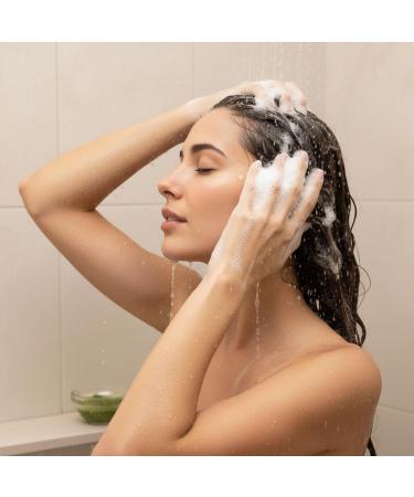  sarcia.eu Prija Regenerating Shampoo for Nutrient Rich Hair with Vegan Arugula 360 ml (Pack of 6) - Buy Online on GoSupps.com