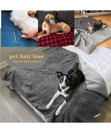 Suoxu Animal Hair Remover Lint Razor - 2 Pack Carpet & Sofa Pet Hair Remover Reusable Fuzz Shaver for Clothing & Furniture - Buy Online on GoSupps.com
