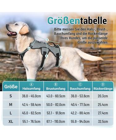 Rabbitgoo Break-Proof Dog Harness for Medium Dogs - Adjustable Breathable Padded Vest with Handle & Anti-Train Safety - Gray XL (1 Pack) - Ship Internationally - Buy Online on GoSupps.com