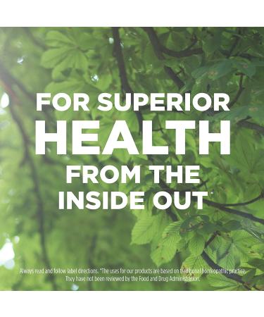 Hyland's Decongestant & Sinus Relief - Ferrum Phos 6X Tablets, Natural Cold & Fever Relief, 500 Count - Buy Online on GoSupps.com