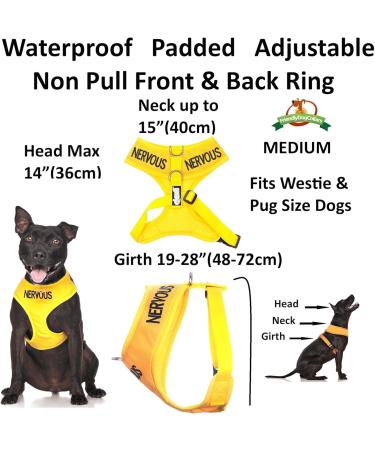 NERVOUS (Give Me Space) Yellow Colour Coded Non-Pull Front and Back D Ring Padded and Waterproof Vest Dog Harness PREVENTS Accidents By Warning Others Of Your Dog In Advance (M) Medium Harness - Buy Online on GoSupps.com
