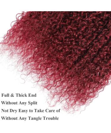 12A Grade 99j Burgundy Water Wave Hair 3 Bundles with Closure - Brazilian Virgin Remy Wine Red Ocean Wave Hair Extensions (12 14 16+10) - Buy Online on GoSupps.com