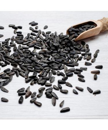 5kg Black Sunflower Seeds Wild Bird Food Sunflowers in Bucket (5kg) - Buy Online on GoSupps.com