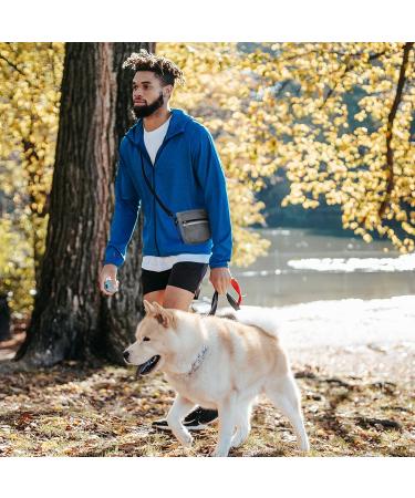 Reopet Waterproof Dog Treat Pouch Bag | Multiple Pockets & Built-in Poo Bag Dispenser | Hands-Free and Adjustable Belt | Ideal for Walking and Outdoors | Grey/Black - Buy Online on GoSupps.com