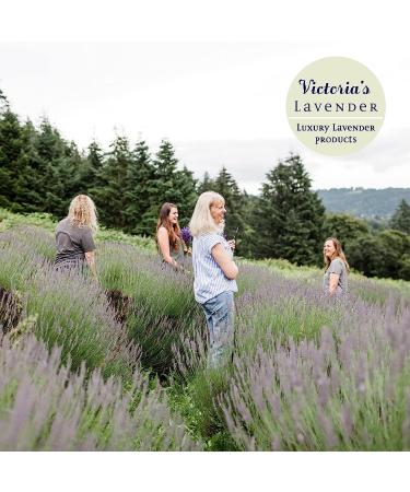 Organic Victoria's Lavender Don't Bug Me Insect Spray - 4 oz with Essential Oils & Aloe Vera - Buy Online on GoSupps.com