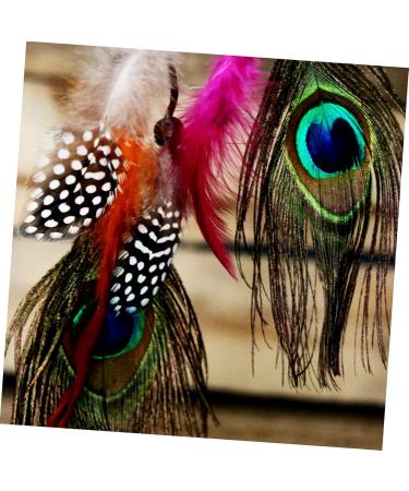 Lurrose 50pcs Peacock Tail Eye s Peacock s Peacock Tail s Peacock Eye s Crafts Natural - Buy Online on GoSupps.com