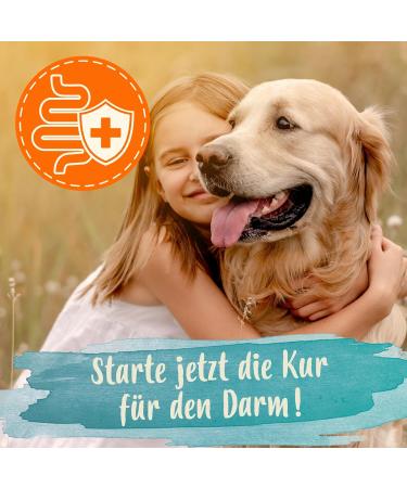 Ida Plus Darmbiotic Probiotics for Dogs - 120 Tablets for Intestinal Health Diarrhea Recovery Immune Support & Digestion Regulation - Buy Online on GoSupps.com