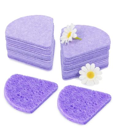 Compressed facial sponges for cleaning flower -shaped facial sponges for the facial cleaning exfoliator sponge compressed facial sponge for beauticians (triangles | purple)