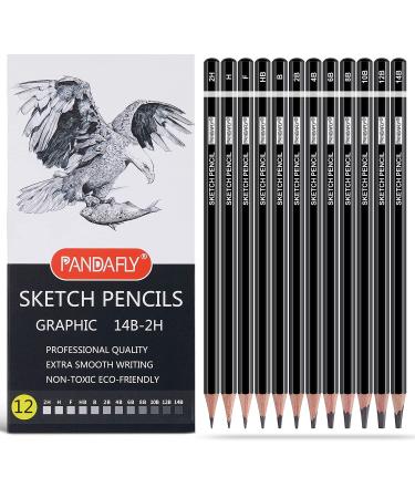 PANDAFLY 150 Pack Drawing Pencils Set 120 Colored Pencils with 3-Color  Sketchbook Adult Coloring Book Graphite Charcoal Pencils for Drawing  Sketching Blending Shading Quality Soft Core Oil Based