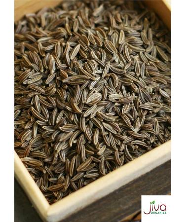 Jiva Organic Fennel Seeds 1.75 lb Bulk Bag - Whole, Non-Irradiated, Non-GMO Seeds (Foeniculum Vulgare) - Raw Quality - Buy Online on GoSupps.com
