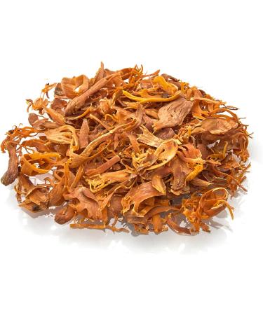 Old India Mace Blades 250g - Premium Quality Spice for Authentic Flavors - Buy Online on GoSupps.com