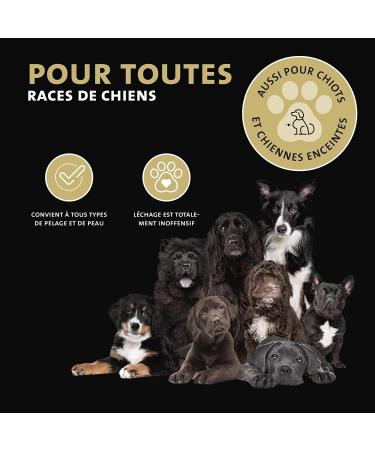 Peticare Dog Paw Balm - Protective Care in Case of Inflammation Protects Cracked or Fragile Pads Prevents Hardening Protection Against Salt in Winter Cream Ointment - petDog Care 2103 - Buy Online on GoSupps.com