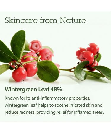 Blithe Korean Skin Care Products 6 Leaves Clear Essence for Rosacea & Redness Relief BHA Toner Cooling Moisturizer for Face Blackhead Treatment Evening Primrose Wintergreen Green Tea 1.83 Oz 6 Calming Leaves 1.83 Fl Oz (  - Buy Online on GoSupps.com