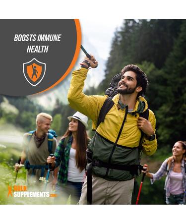 Lion's Mane Mushroom Extract Powder - Memory & Focus Brain Supplement - 500g (1.1 lbs) - Buy Online on GoSupps.com