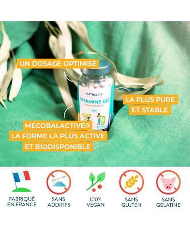 NUTRI & CO Vegan Vitamin B12 1000 mcg - Pure & Bioavailable Patented Methylcobalamin - High Absorption - Anti Fatigue & Immunity - 120 Gluten-Free Capsules - Packaged in France - Buy Online on GoSupps.com