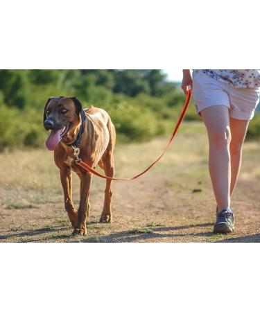 IDC Color & Gray Rubberized Leash - 20mm x 2m Without Loop | Durable Stylish Orange-Gray Dog Leash for International Shipping - Buy Online on GoSupps.com