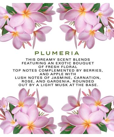 Botanical Beauty PLUMERIA WHIPPED BODY BUTTER with Shea Butter Cocoa Butter Coconut Oil for All Skin Types for Dry Sensitive Skin. Moisturizing Cream for Women Men (8 Fl Oz 240 ml) - Buy Online on GoSupps.com