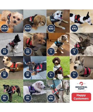 Service Dog Harness with Hook and Loop Straps, Handle | Reflective Patch, Mesh Design | Red, Small, XXS to XXL - Buy Online on GoSupps.com