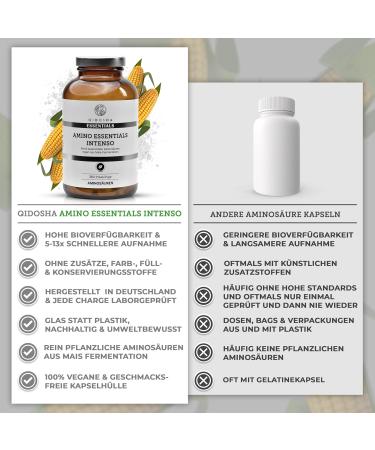 QIDOSHA Master Amino Acids Complex - 100% Vegan 8 Essential Aminos 360 Pressed Tablets 99% Nitrogen Recycling | International Shipping - Buy Online on GoSupps.com