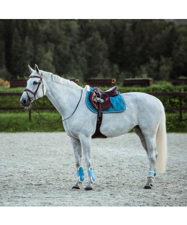 HORZE Horse Bridle Sion Premium English Noseband Bridle & Reins for Ponies Brown Size P | International Shipping Available - Buy Online on GoSupps.com