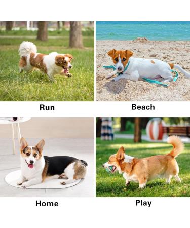 Winmany Cooling Vest for Dogs - Summer Sleeveless T-Shirt Quick-Drying Sun Protection Outfit for Small Medium & Large Dogs (Small Green) - Buy Online on GoSupps.com