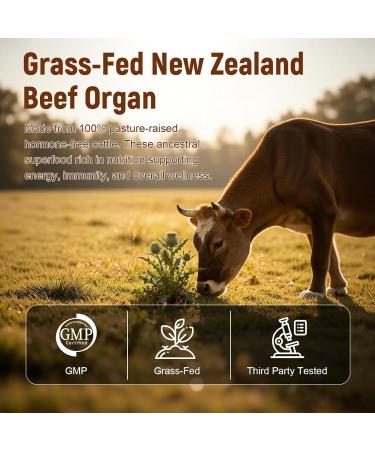 Beef Liver Capsules with Tudca - Beef Organ Supplement for Women Liver Kidney Heart Uterus Tissue Support Liver Health & Detox Energy Women s Health & Hormonal Balance Grass Fed Non-GMO - Buy Online on GoSupps.com