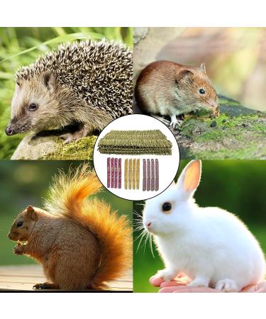 Hand-Woven Barley Ears Rabbit Grass Mat | Edible Stuff for Rabbits Guinea Pigs & Hamsters | 4 Pieces with Rose Ringflower & Forget-Me-Not Sticks - Buy Online on GoSupps.com