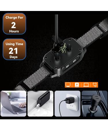 Beoankit Anti Bark Collar for Dogs - Dual Vibration, 5 Sensitivity Levels, 3 Modes - Grey - Buy Online on GoSupps.com