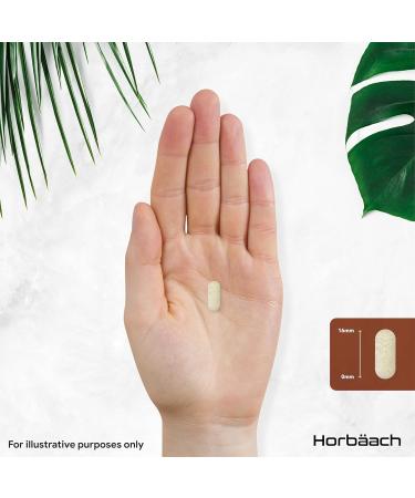 Lions Mane Supplement 5000mg | Focus Complex with Vitamin B5 & Black Pepper | Lion's Mane Mushroom Mental Performance Supplement | 180 Vegan Tablets | by Horbaach - Buy Online on GoSupps.com