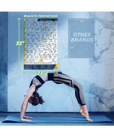 EverStretch Bodyweight Workout Poster - Large 23 x 35 | Video Instructions & Laminated Chart | Home Gym Exercise Poster - Buy Online on GoSupps.com