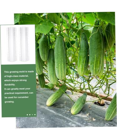 Parliky 3pcs Vegetable Shaping Mold Flower Shape Strawberry As Shown 20x6cm - Buy Online on GoSupps.com