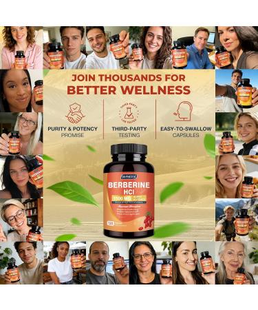 DRFOSTER Berberine HCL 1500mg Berberine Supplement with Ceylon Cinnamon Magnesium & Probiotics - Supports Gut Health & Immune System Non-GMO 120 Capsules 120 Count (Pack of 1) - Buy Online on GoSupps.com