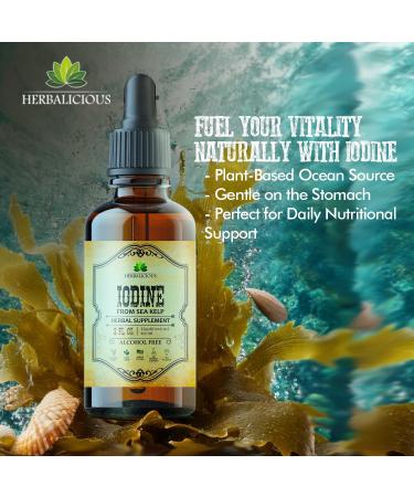 HERBALICIOUS Iodine Drops Natural Iodine Liquid from Sea Kelp Thyroid Supplement for Energy Digestion & Immune Support Organic Non-GMO Formula 2 fl oz - Buy Online on GoSupps.com