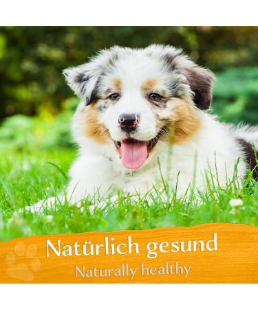 Belisy Itching Bach Flowers for Dogs & Cats - Natural Skin Care & Fur Care - Non-Alcoholic Emergency Remedy - 10g - Buy Online on GoSupps.com