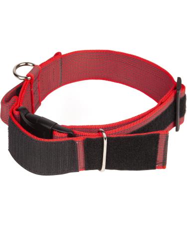 Julius K9 Color & Gray Series Adjustable Neck Band with Handle - 50mm (49-70cm) - Safety Closure - Red-Gray for Dogs - Buy Online on GoSupps.com