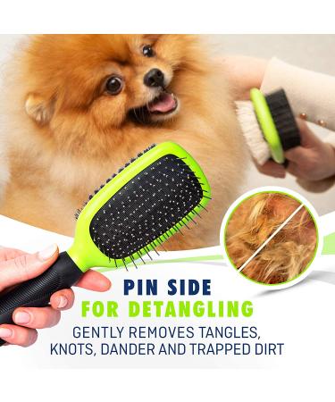 Rexipets Double-Sided Pet Grooming Set for Dogs & Cats - Small Deshedding Tool with Strong Grip - Lice & Flea Removal - Soft Bristles for Ultimate Grooming - Buy Online on GoSupps.com
